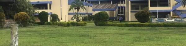 COLLECTION OF DEGREE & DIPLOMA CERTIFICATES